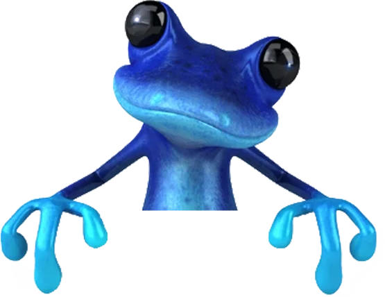Blue Frog Photo